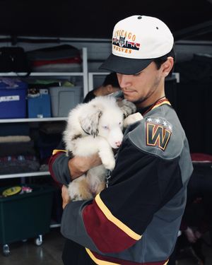 Image post by @chicagowolves on Instagram