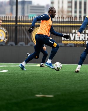 Image post by @paivavisuals on Instagram