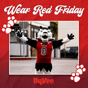 Image post by @niuhuskies on Instagram