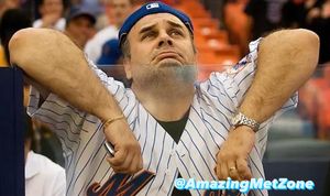 Image post by @amazingmetzone on Instagram