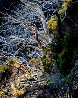 Image post by @cristan.nature.photography on Instagram