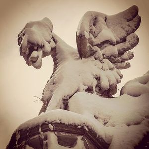 Image post by @uchicago on Instagram