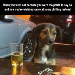 Image post by @9gag on Instagram