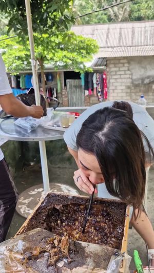 Video post by @meimeimecin on TikTok