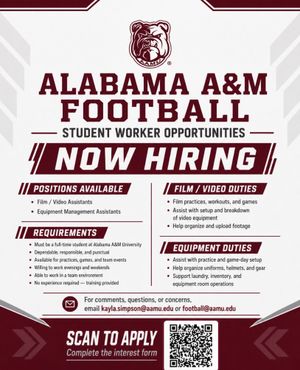 Image post by @aamufb on Instagram