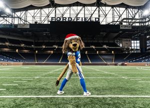 Image post by @lionsyouthfb on Instagram