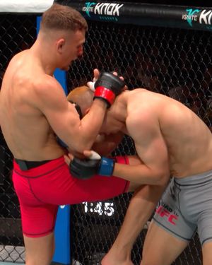 Image post by @ufc on Instagram