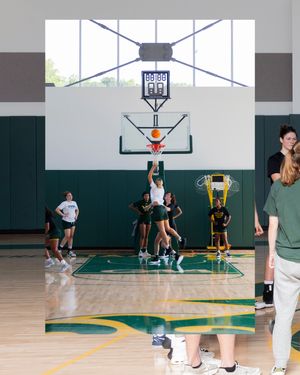 Image post by @wmtribewbb on Instagram