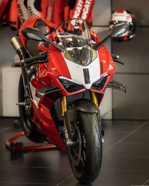 Image post by @panigalers on Instagram
