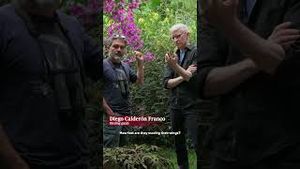 Video post by @60minutes on YouTube