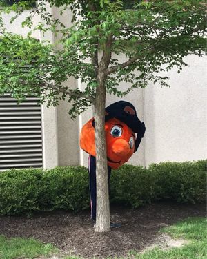 Image post by @theottoorange on Instagram