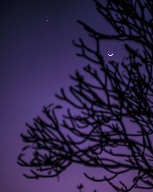 Image post by @ram_matteo on Instagram