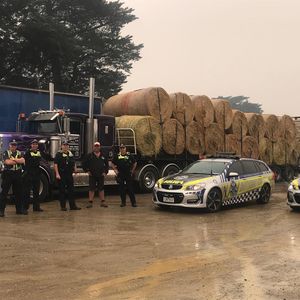 Image post by @victoriapolice on Instagram