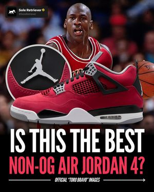Image post by @soleretriever on Instagram