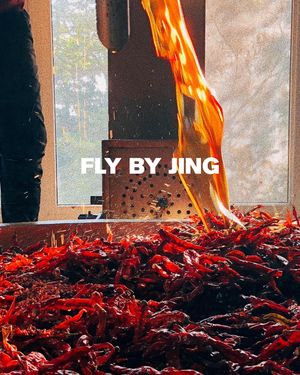 Image post by @flybyjing on Instagram