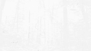 Gif post by @Landino304 on Twitter