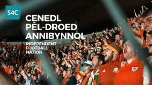 Video post by @s4c on YouTube