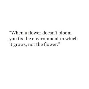 Image post by @elevatedmental1 on Instagram