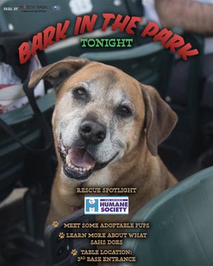 Image post by @samissions on Instagram