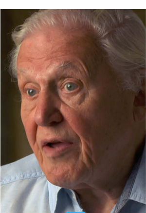 Video post by @60minutes on TikTok