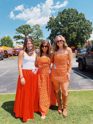 Image post by @clemsongammaphi on Instagram