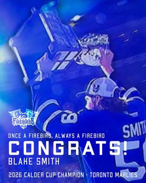 Image post by @flintfirebirds on Instagram