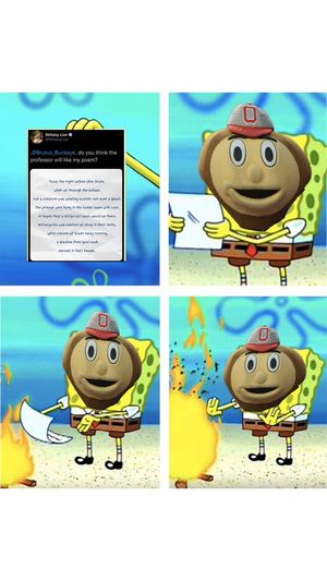 Image post by @Brutus_Buckeye on Twitter