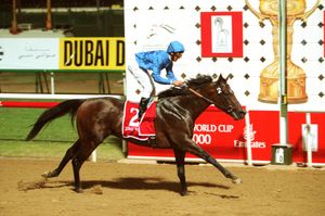 Image post by @godolphin on Instagram