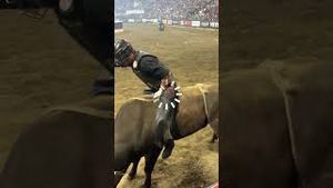 Video post by @pbr on YouTube