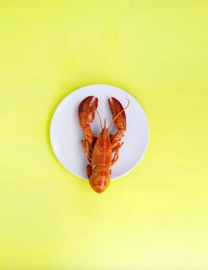 Image post by @themainemag on Instagram