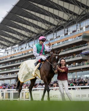 Image post by @juddmonte on Instagram