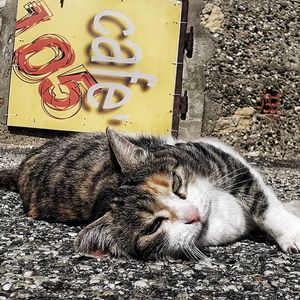 Image post by @manugallocchio on Instagram