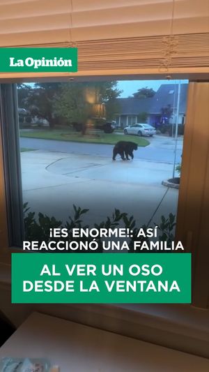 Image post by @laopinionla on Instagram