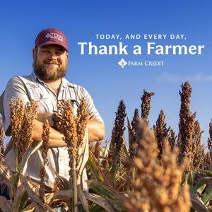 Image post by @farmcredit on Instagram