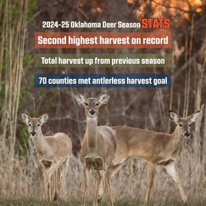 Image post by @okwildlifedept on Instagram