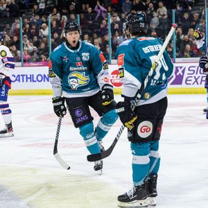 Image post by @belfastgiants on Instagram