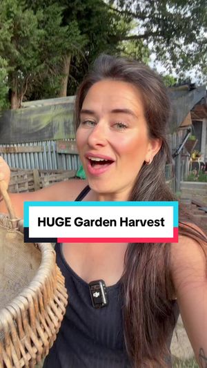 Video post by @gardeningwithlou on TikTok