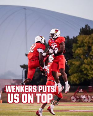 Image post by @isuredbirdfb on Instagram