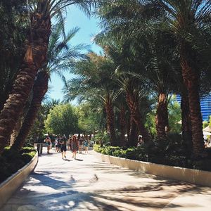 Image post by @kirstenalana on Instagram