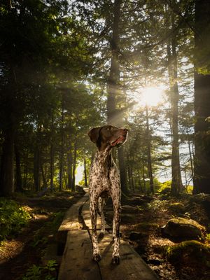Image post by @jpotterphoto on Instagram