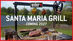 Video post by @grillwithweber on YouTube