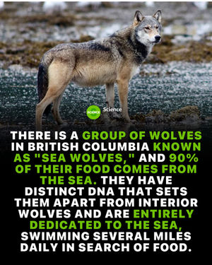 Image post by @science on Instagram
