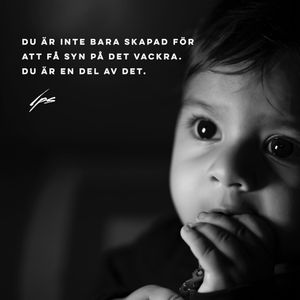 Image post by @petersvardsmyr on Instagram