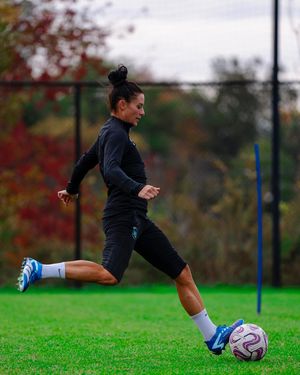 Image post by @alikrieger on Instagram