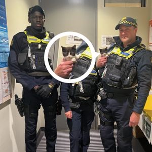 Image post by @victoriapolice on Instagram