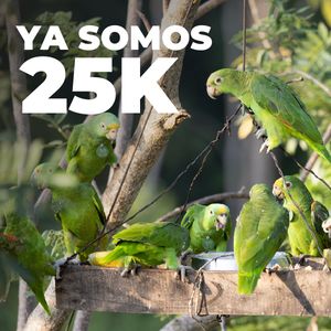 Image post by @fundacionloros on Instagram