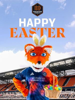 Image post by @houstondynamo on Instagram