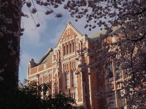 Image post by @uwathletics on Instagram