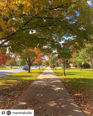 Image post by @marshallu on Instagram