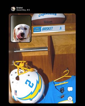 Image post by @chargerspup on Instagram